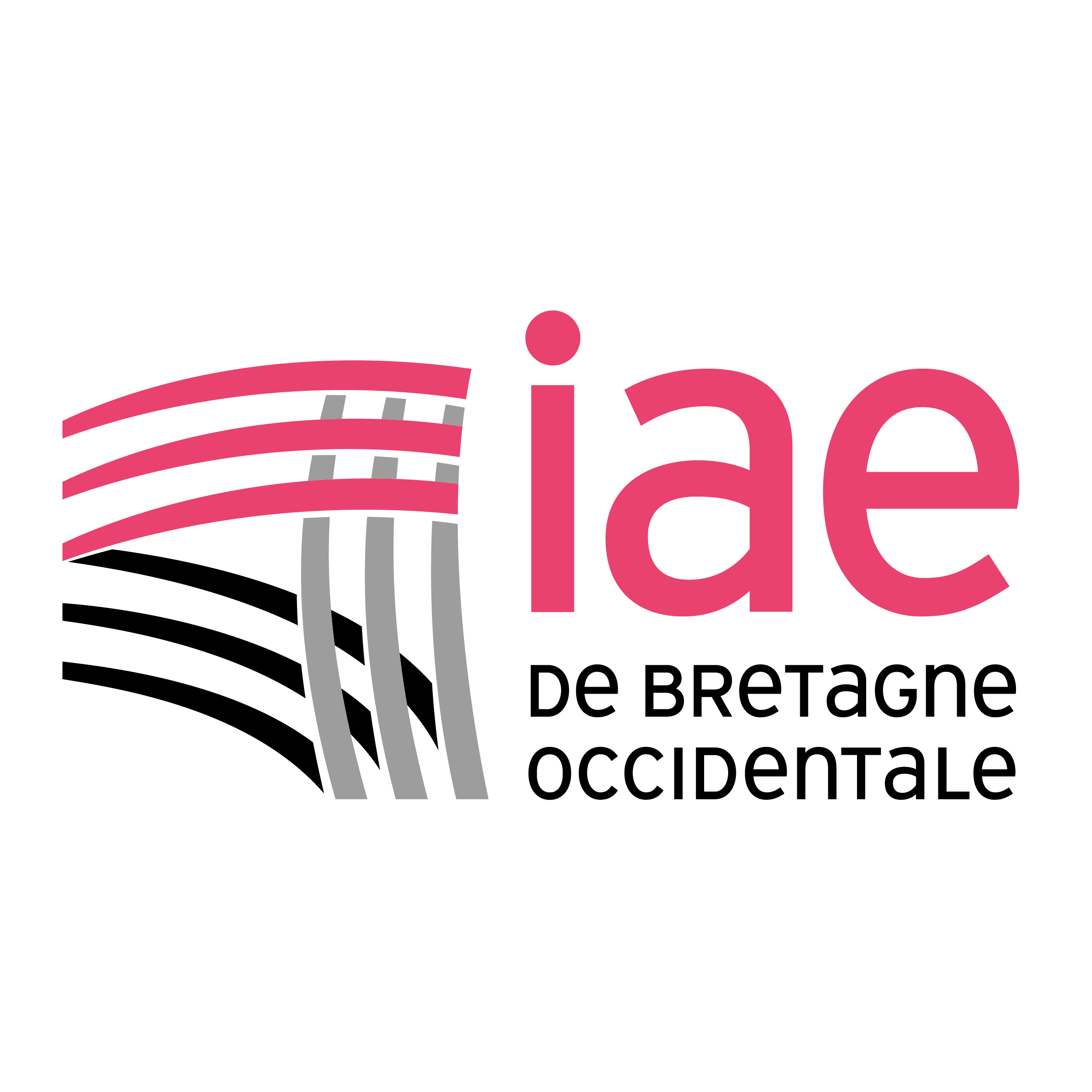 IAE de Bretagne Occidentale